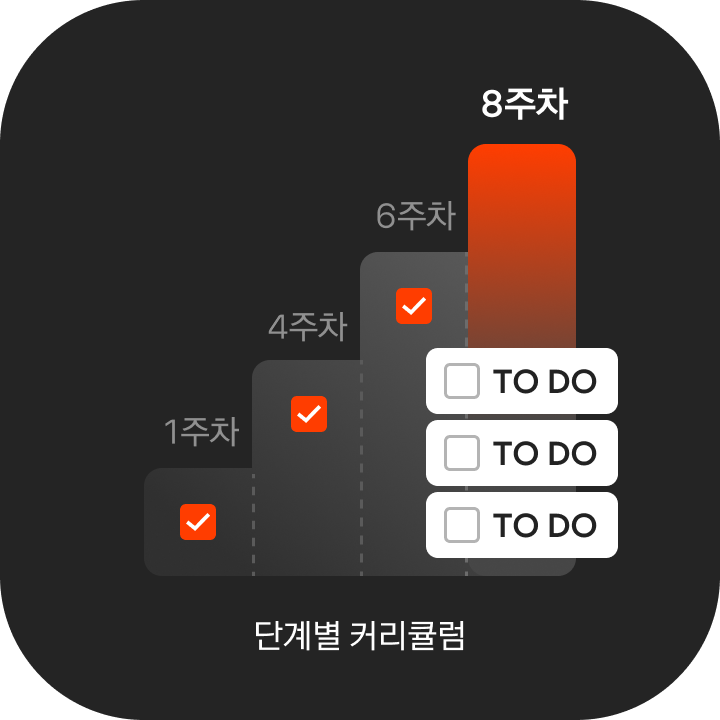 단계별 커리큘럼